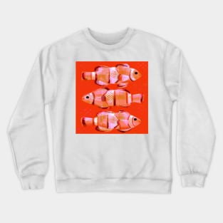 Clownfish Crewneck Sweatshirt